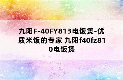 九阳F-40FY813电饭煲-优质米饭的专家 九阳f40fz810电饭煲